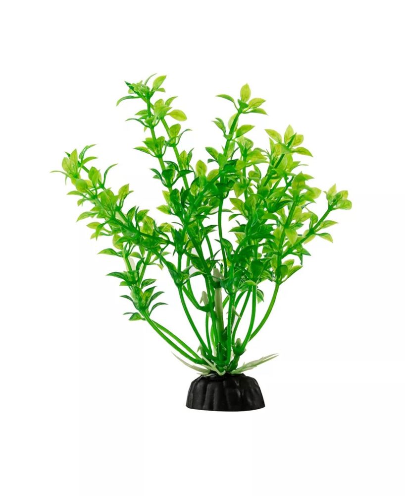 Растение с листьями зеленые 4*10см