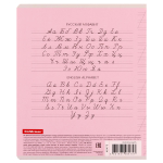 Тетрадь школьная А5 12л косая линия,розовая "Классика" (Erich Krause) микс цветов (комплект 5 шт)