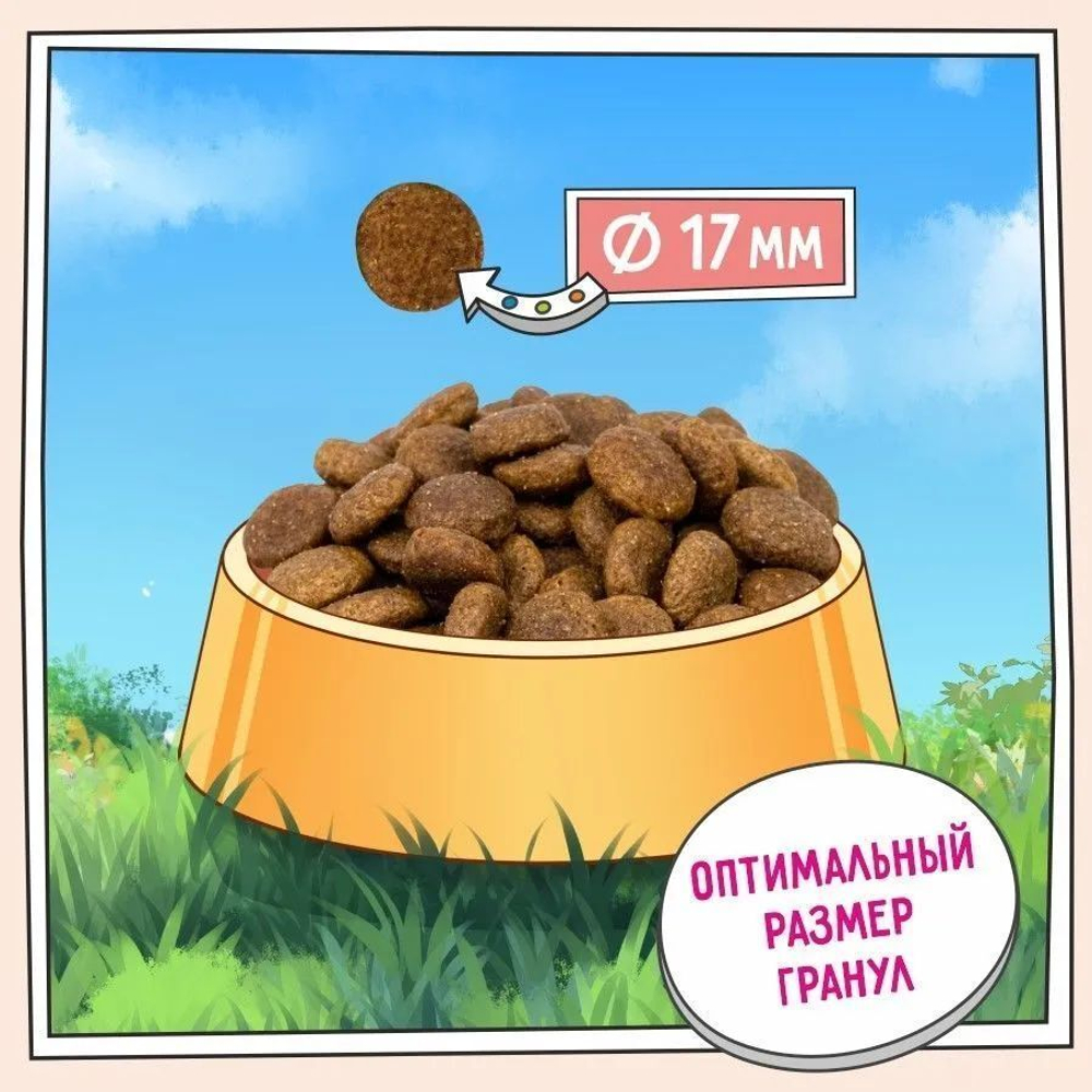 Сухой для собак ZILLII Dog Adult 15кг индейка и ягненок сухой для собак