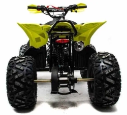Квадроцикл Motoland 125 RAPTOR A