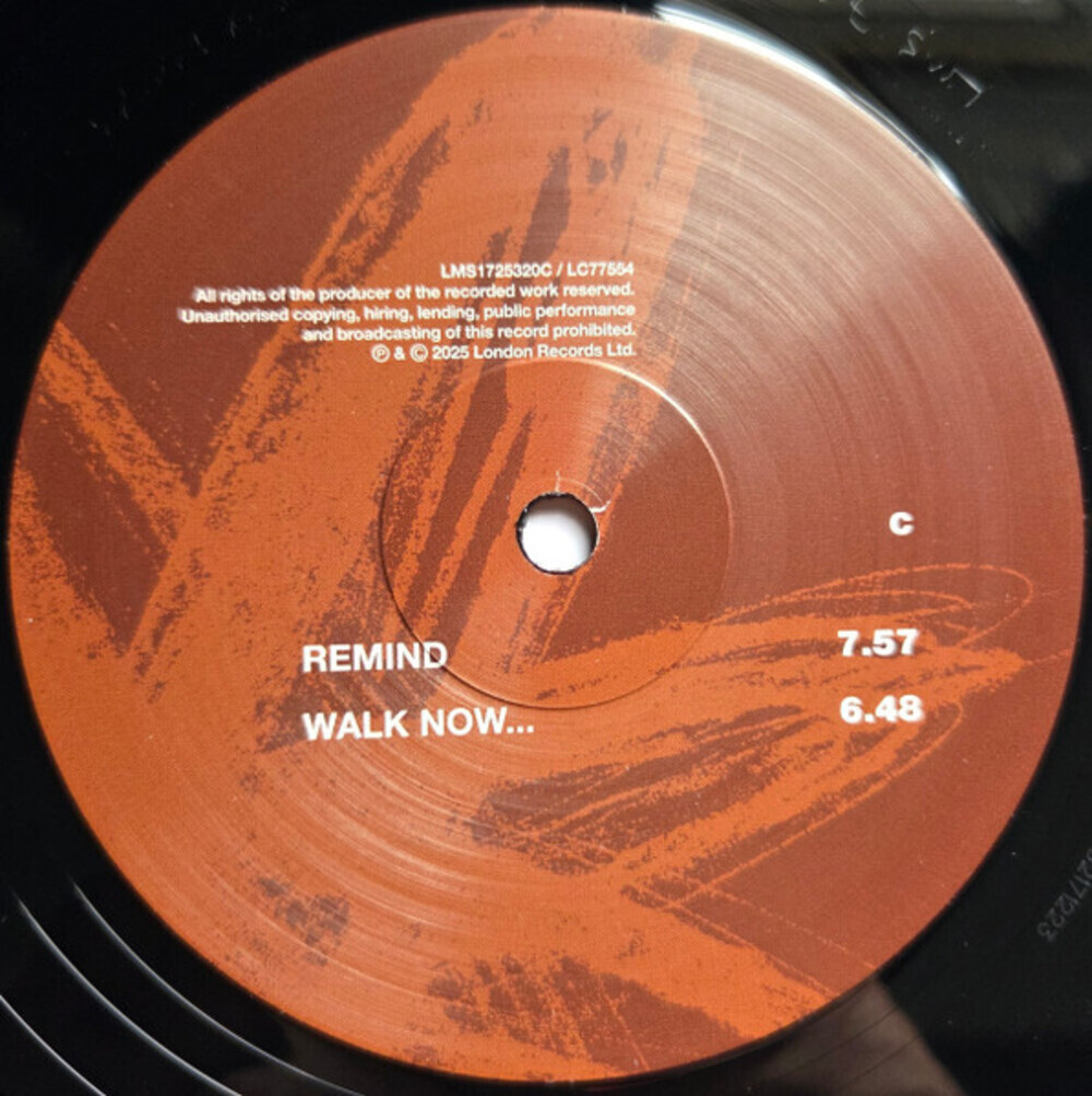 Orbital / Orbital (The Brown Album)(2LP)