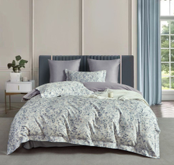 Постельное белье 2 спальное евро Asabella 2196-6/160