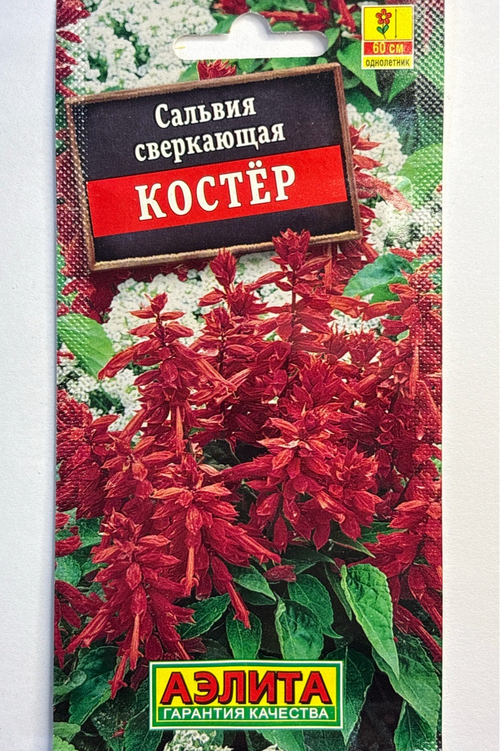 Сальвия Костер СМЦ-752