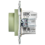 SKANDY Термостат электронный с индикацией SK-T01G мятный IEK