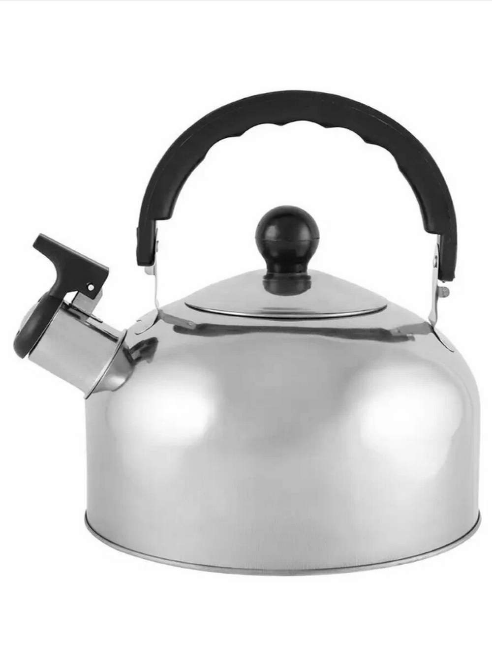 Чайник со свистком из нержавеющей стали Casual (2л.)