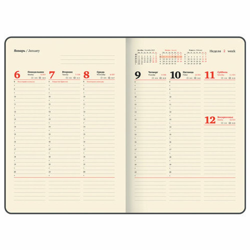 Еженедельник датированный 2025, БОЛЬШОЙ ФОРМАТ, 210х297 мм, А4, BRAUBERG "Comodo", под кожу, коричневый, 115942