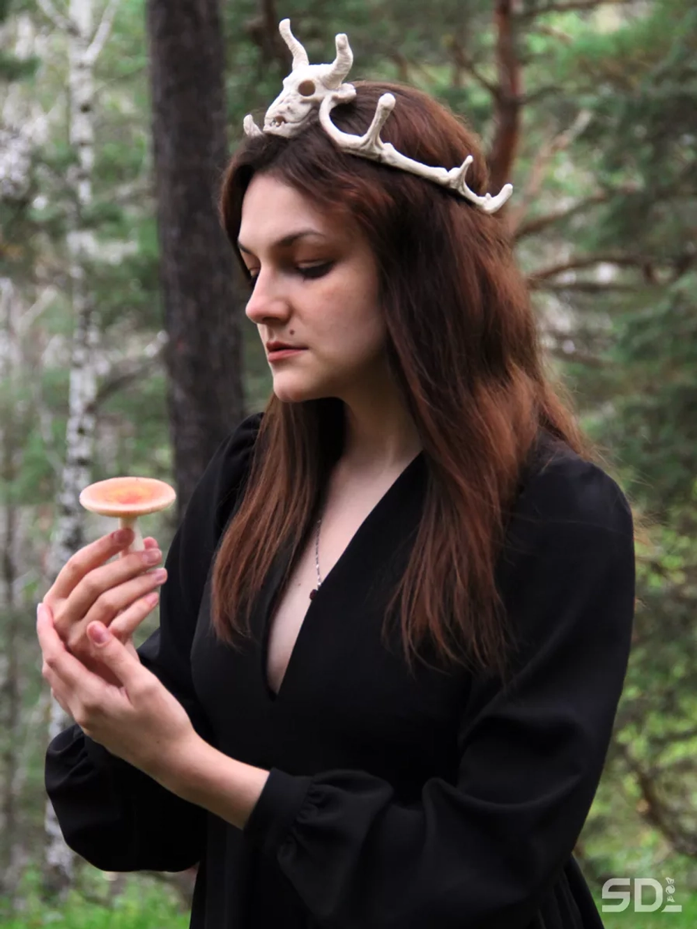 Костяная корона