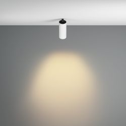 Спот светодиодный Maytoni   C053CL-L12W2.7K-W-W