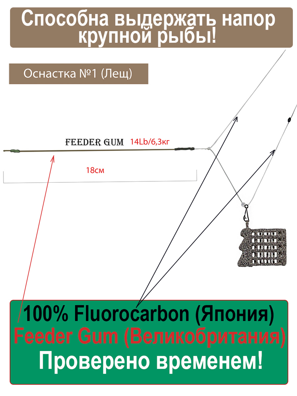 Асимметричная петля (Feeder Gum)