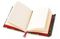 Bloknot \ Блокнот \ Notebook Gocken Jobs: Rose &amp; Lily (Foiled Blank Journal)