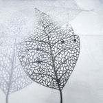 Штора для ванной 180*200см ПЕВА, MS0735