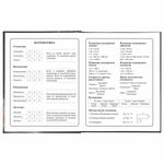 Дневник 1-4 класс 48 л., твердый, BRAUBERG, блестки, с подсказом, "Котик", 106364