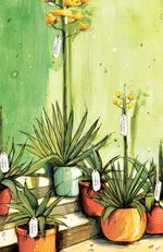 Вижу — не вижу