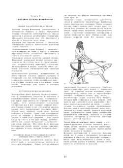 История костюма | Н.М. Каминская