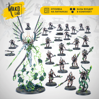 [Wako-box Battleforce] Hypercrypt Legion (Necrons)