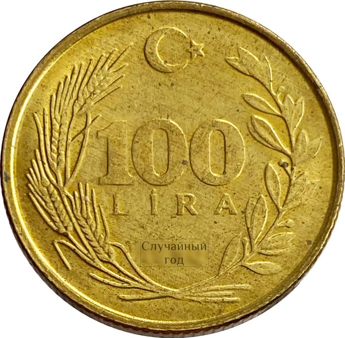 100 лир 1988-1996 Турция