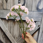 Статица искусственная светло-розовая