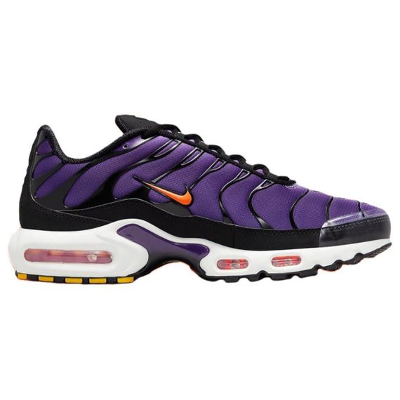 Nike Air Max Plus Повседневная обувь Низкий Топ Фиолетово-черный Мужская