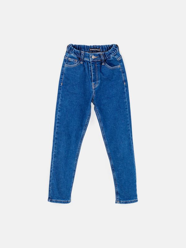 Джинсы regular fit 