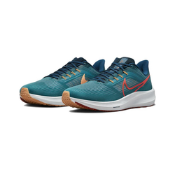 Мужские кроссовки Nike Air Zoom Pegasus 39 'Spruce Crimson' DH4071-302