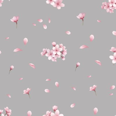 Цветение Сакуры