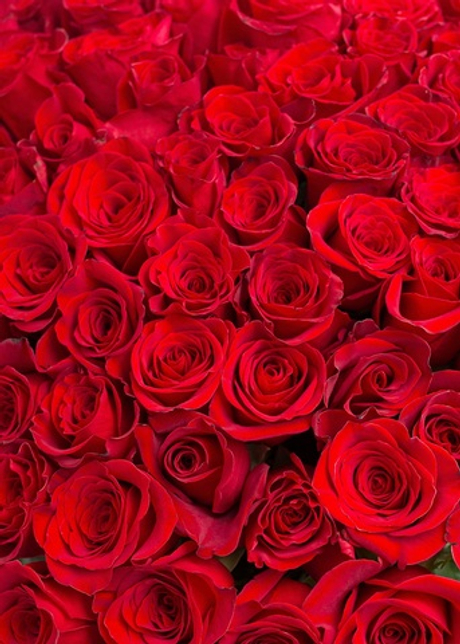 Букет из красных роз #101
