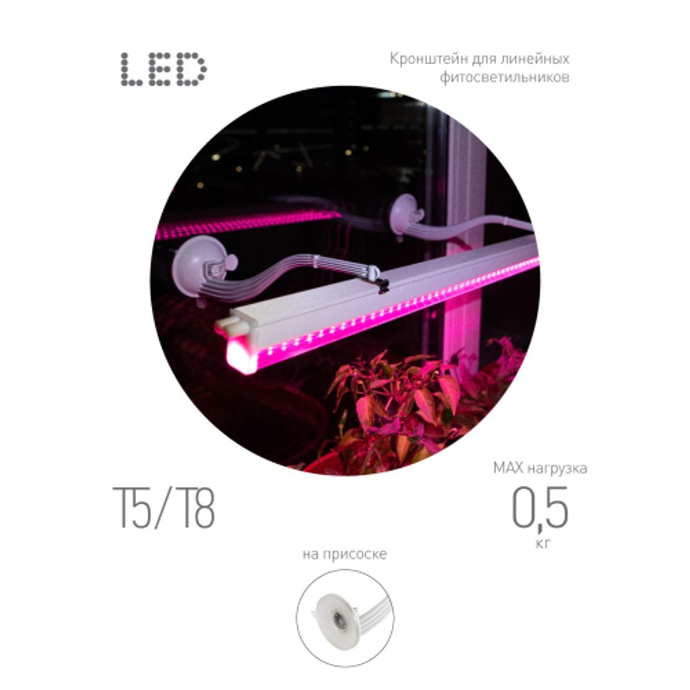 Кронштейн для ламп и светильников ЭРА FITO-Hanger на присоске