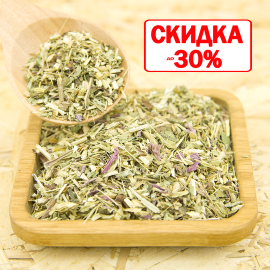 Эхинацея (трава)