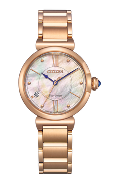 Наручные часы Citizen EM1073-85Y