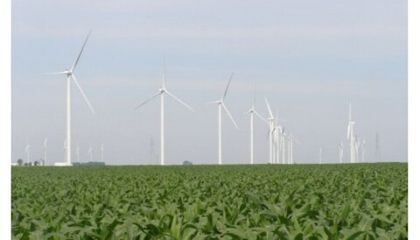 Компания Nestle в США планирует обеспечить свои объекты возобновляемой электроэнергией., фото №null