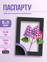 Паспарту 15х21 см чёрный арт.1097981521