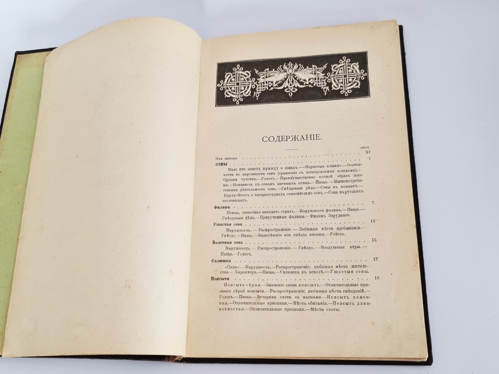 "Пернатые хищники. Популярные очерки из мира русских хищных птиц". Д.Н.Кайгородов. 1906г.