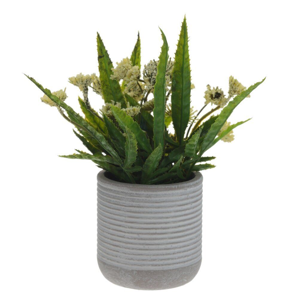 GAEM Цветочная композиция, L9 W9 H18 см, 5в.