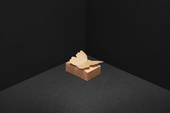 Упаковка для 6 шоколадных конфет. Бабочка