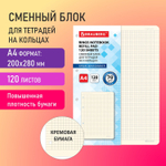 Сменный блок для тетради на кольцах большой ФОРМАТ А4 120 л. BRAUBERG ПОВЫШЕННОЙ ПЛОТНОСТИ кремовый (3 штуки в упаковке)