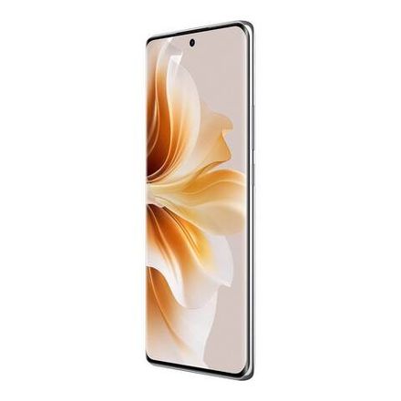 OPPO Reno 11 Pro 5G (CPH2607)