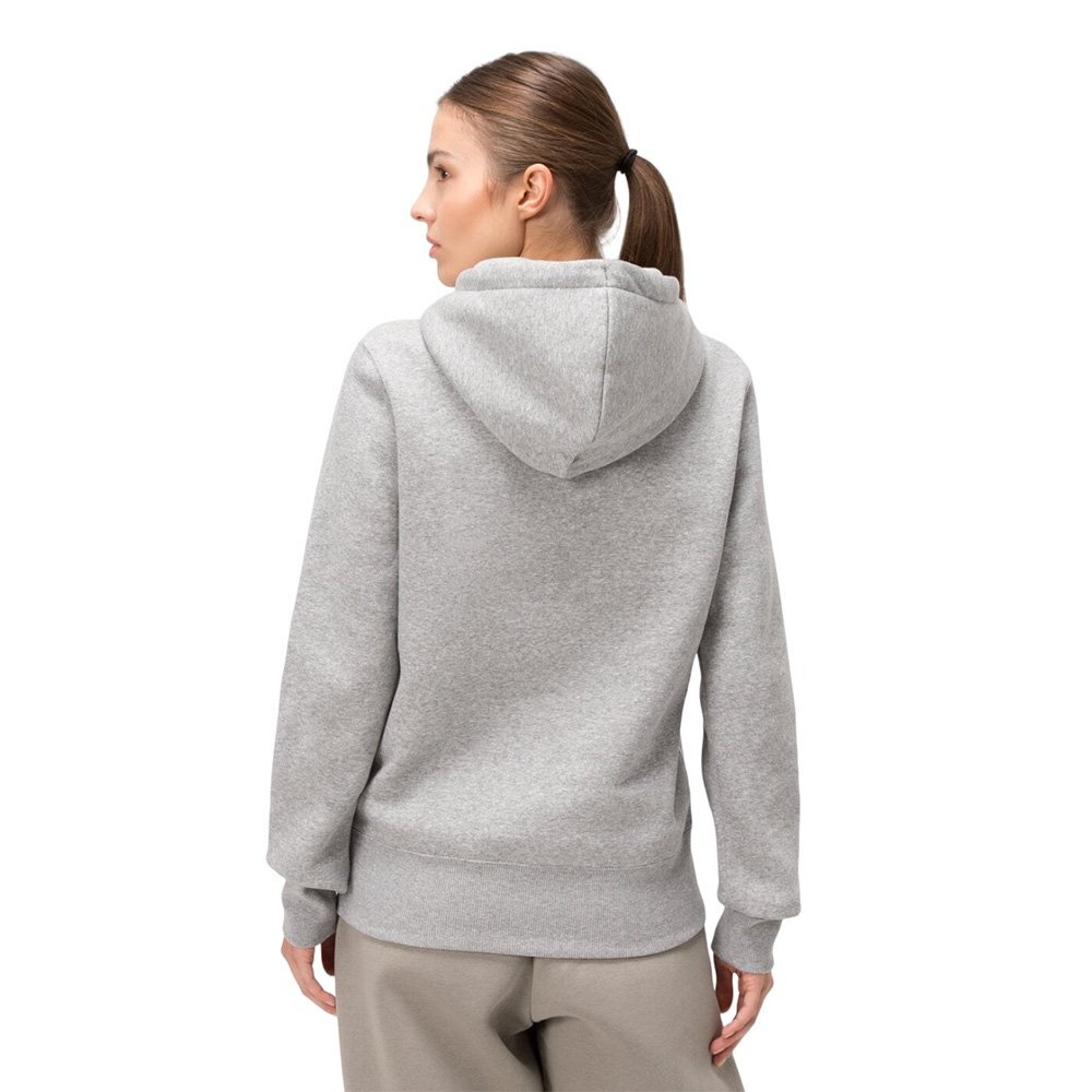 Баскетбольная женская толстовка Nike Sportswear Phoenix Fleece Sweatshirt Grey