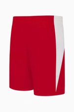 Шорты Nike Team Basketball