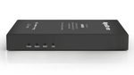Удлинитель  Wyrestorm EXF-300-H2