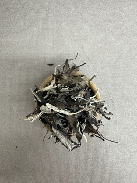 Белый чай со старых деревьев деревни Као Бо