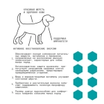 AJO (Айо) Dog Mini Adult Сухой полнорационный корм с гречкой для взрослых собак малых пород, 2 кг