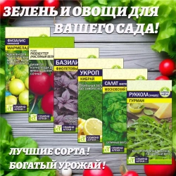 Зелень и овощи для Вашего сада
