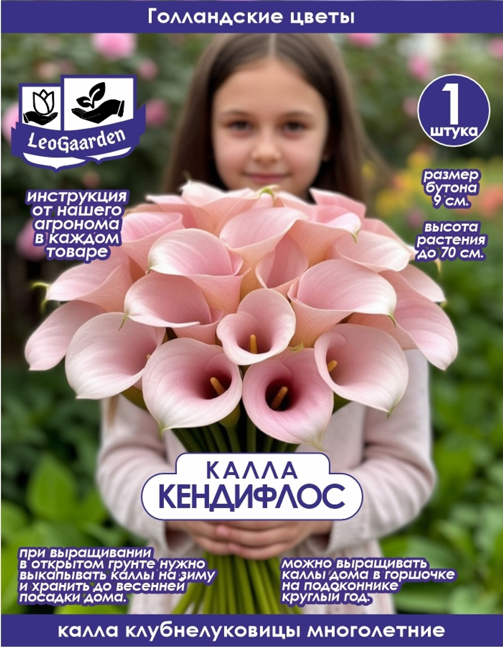 Калла, Клубнелуковица, Кендифлосс, 1 шт.