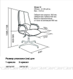 Кресло для посетителей C2W SHAPE Vi base, Кожа, Бежевый