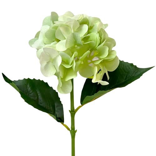 Гортензия зеленая 66 см