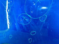 Капот Haval F7 (2018-н.в.)