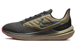 Кроссовки Nike Air Winflo 9 Shield