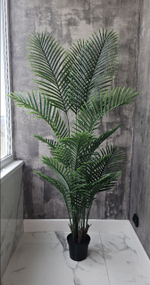 Пальма Хамедорея 200 см без кашпо / Арт 3094
