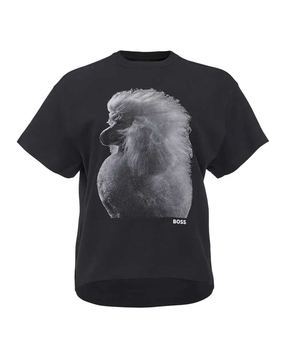 0437350_1-1000x1250w (2)