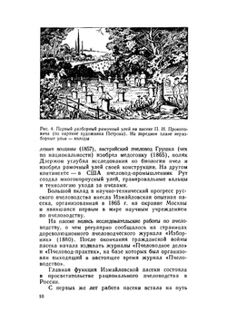 Приусадебная пасека | П.И. Тименский